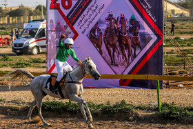 مسابقات اسب اصیل عرب کشور در اهواز