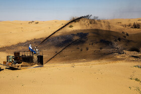 خسارت «مالچ نفتی» ‌به‌ خاک خوزستان در حال برآورد  است