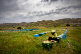 ایران زیباست؛ سردشت دزفول