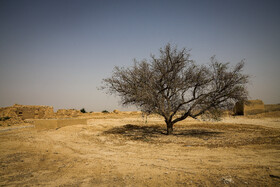 روستای الخیط در بخش غیزانیه به دلیل نبود آب خالی از سکنه شده است.