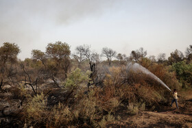 آتش سوزی در جنگلهای منطقه حفاظت شده کرخه