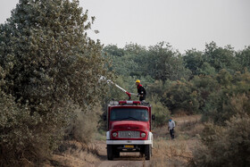 آتش سوزی در جنگلهای منطقه حفاظت شده کرخه