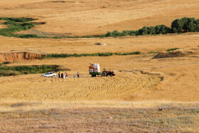روستای « دره عربها » در اندیکا که از اقوام عرب و بختیاری هستند. شغل بیشتر مردم روستا کشاورزی است.