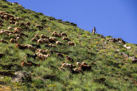 ایران زیباست؛ «کوه بدر»