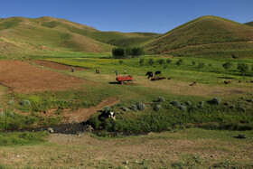 ایران زیباست؛ «کوه بدر»