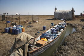 دامداران روستای صراخیه به دلیل شوری آب تالاب، آب شرب مورد نیاز دام‌های خود را خریداری می‌کنند.