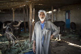 ابو جمال ۶۱ ساله اهل روستای صراخیه در تالاب شادگان است. به گفته وی، مردم روستای صراخیه با مشکلات مختلفی از جمله کمبود علوفه دام و هزینه های بالای خرید تفاله های نیشکر برای دام های خود مواجه هستند.