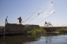 حاشیه این تالاب میزبان سه شهر بزرگ شادگان، آبادان و ماهشهر و تعدادی روستا است و دو روستا نیز دقیقا در میان آب های آن جای گرفته اند. همهی ساکنان این شهرها و روستاها از گذشتههای دور تا به امروز برای تامین معاش خود، چشم به آب تالاب شادگان داشتهاند.