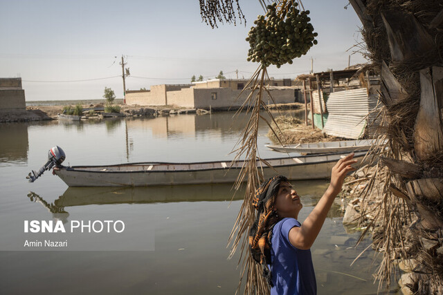 تشنگی؛ جانِ بر لب تالاب‌های خوزستان