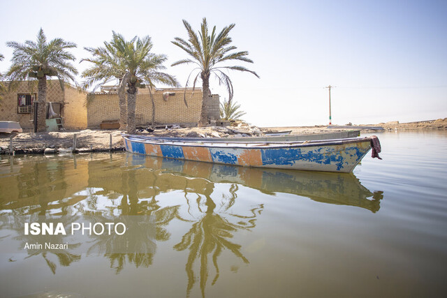تالاب شادگان ۵۸ درصد تالاب شادگان خشک شده است/ تخصیص تنها نیمی از حقآبه تالاب