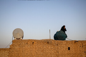 مردم این دو روستا، آب آشامیدنی مورد نیاز خود را روزانه از شهرستان شوش خریداری میکنند و علاوهبر هزینه تامین آب، مبلغ بالایی جهت انتقال آب به روستا پرداخت میکنند.