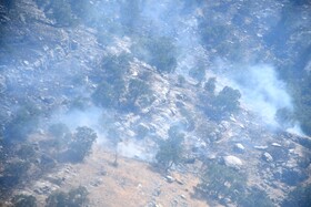 مهار ۹۵ درصدی آتش‌سوزی منطقه حفاظت‌شده شیمبار