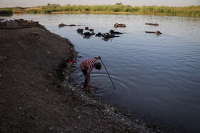 برداشت آب شرب آلوده به فضولات و فاضلاب، از رودخانه "شاوور"