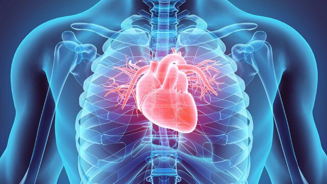 بیماری‌های قلبی عروقی، عامل ۴۳ درصد مرگ‌ها در خوزستان - ایسنا