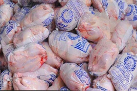 تکذیب توزیع مرغ تاریخ گذشته در خوزستان