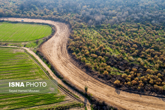 تخریب پوشش گیاهی پارک ملی کرخه / عکس از آرشیو  خطر بیخ گوش پارک ملی کرخه؛ این بار عبور خط لوله طرح آبرسانی غدیر