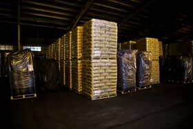 بازدید رئیس بنیاد مستضعفان از کارخانه کارخانه دوده فام دزفول