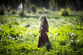 شهر بهبهان در استان خوزستان، یکی از معروفترین خاستگاههای گل نرگس در ایران به شمار میرود. این گل زیبا دارای ارزش دارویی و صنعتی نیز هست. برداشت این محصول معمولا از اواسط دیماه آغاز و تا اواخر بهمنماه ادامه دارد.