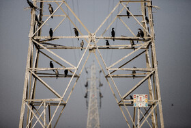 هورالعظیم به معنای تالاب بسیار بزرگ، یکی از بزرگترین تالابهای ایران است. تالاب در مرز ایران و عراق واقع شده است. حدود یک سوم این تالاب در ایران و دوسوم آن در کشور عراق است. تالاب هورالعظیم از مهمترین زیستگاههای پرندگان مهاجر است که هر ساله در سرشماری زمستانه پرندگان، پذیرای بیشترین تعداد پرنده است.