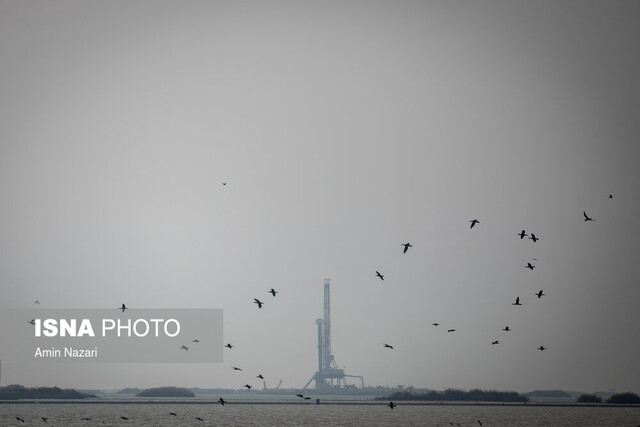 فعالیت نفتی در تالاب هورالعظیم وصول ۲۷ هزار میلیارد تومان از معوقات عوارض آلایندگی خوزستان