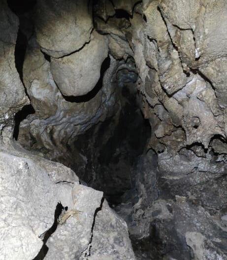 کشف یک غار با تزئینات زیبا در کوه آسماری خوزستان