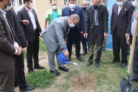 امیدواریم روزی با درختکاری، آثار گرد و غبار خوزستان محو شود