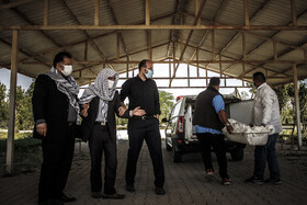 باغ فردوس در روزهای سیاه اهواز