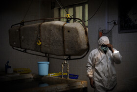 باغ فردوس در روزهای سیاه اهواز