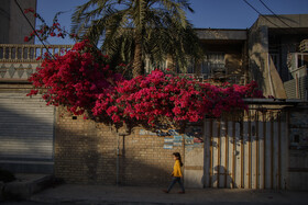 اهواز، شهر گل‌های کاغذی