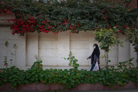 اهواز، شهر گل‌های کاغذی