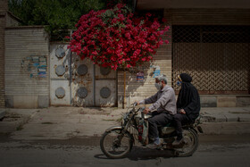 اهواز، شهر گل‌های کاغذی