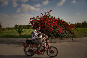 اهواز، شهر گل‌های کاغذی