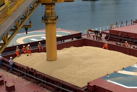 واردات ۷۳۶ هزار تن گندم از بندر امام به کشور