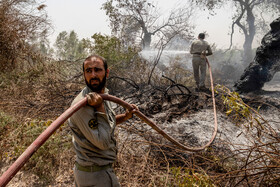 آتش‌سوزی پیاپی در جنگل‌های کرخه / سوختن ۲۰۰ اصله درخت در حریق امروز