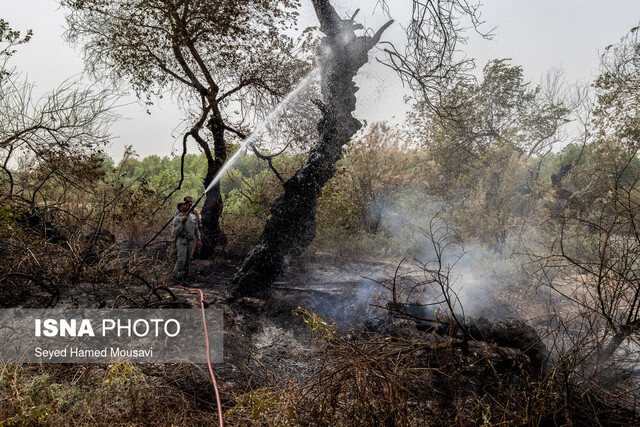 آتش در جنگل‌های بلوط حفاظت‌شده ایذه / مهار حریق پس از ۱۰ ساعت