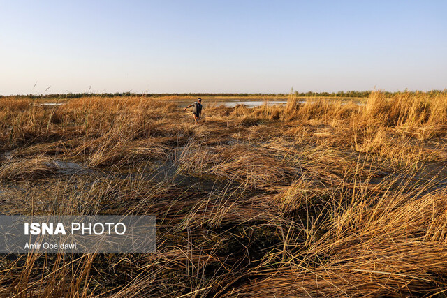 تالاب هورالعظیم پیشبینی پاییز گرم و خشک برای خوزستان/ بارندگی «زیر نرمال» در سه ماه آینده