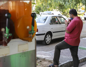 تداوم موج گرما در بوشهر