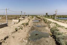 قانون حفاظت، احیا و مدیریت تالابهای کشور که مشتمل بر پنج ماده و سه تبصره است، چهارم اردیبهشت سال ۱۳۹۶ در جلسه علنی مجلس شورای اسلامی تصویب شد و به تأیید شورای نگهبان رسید و برای اجرا به دولت و سازمان حفاظت محیط زیست ابلاغ شد. بر اساس ماده یک این قانون، هرگونه بهرهبرداری و اقدامی که منجر به تخریب و آلودگی غیرقابل جبران تالابها شود، ممنوع است.