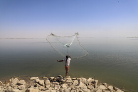 تعیین حقآبه تالابها بر عهده سازمان محیط زیست و تامین حقآبه بر عهده وزارت نیرو است.