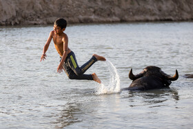 با جاری شدن مجدد آب در رودخانه کرخه جوانان و نوجوانان شهر بستان پس از هفته ها دوری از آب در هوای داغ منطقه تن به آب زدند و برای لحظاتی گرمای طاقت فرسای هوا و خشکسالی را به دست فراموشی سپردند.