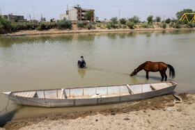 خشکسالی و تنش آبی در ماههای اخیر مشکلات زیادی را برای کشاورزان و دامداران این منطقه ایجاد کرد که پس از هفته ها بیآبی ، آب وارد کانالهای آبیاری این شهر شد.