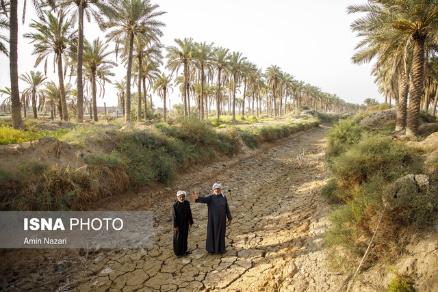 نخلداران خوزستان، معترض به مشکلات تامین آب