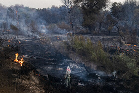 آتش در سایت گوزن زرد ایرانی / حریق جنگل‌های کرخه