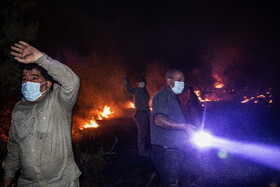 آتش سوزی در جنگل‌های کرخه و سایت گوزن زرد ایرانی