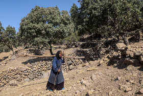 تخریب روستای "سرشط" در پی زلزله