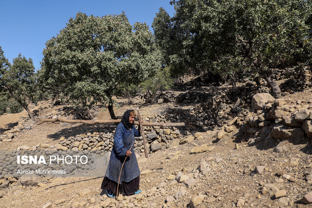 اینجا اندیکا؛ وای اگر زمستان بیاید...