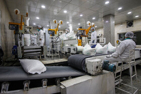 ه گفته مدیرعامل شرکت توسعه نیشکر و صنایع جانبی پیش‌بینی می‌شود امسال ۶۳۰ هزار تن تولید شکر داشته باشیم که حدود ۴۰ درصد از تولید شکر کل کشور است.
