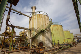 برداشت نیشکر در خوزستان