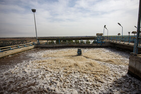 برداشت نیشکر در خوزستان