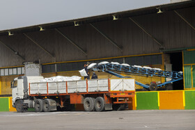 براساس برنامه چشم انداز ۱۴۰۴،  حدود ۷۰درصد تولید شکر مورد نیاز کشور در خوزستان از تولید ۲ محصول راهبردی نیشکر و چغندرقند تامین خواهد شد.